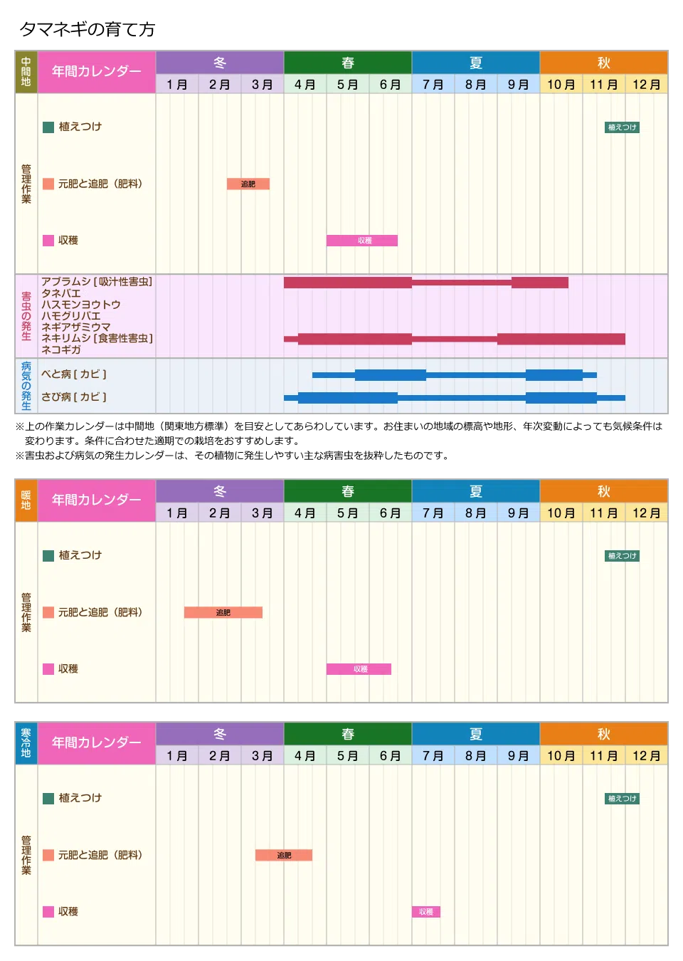 玉ねぎ の 種まき 時期
