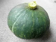 カボチャ【地植え】写真