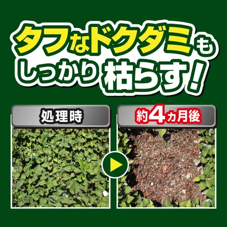草退治ストロングシリーズ 濃縮タイプ 草退治メガロングFL｜KINCHO園芸