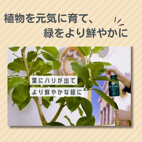 MY PLANTS すばやく元気を届けるミスト｜KINCHO園芸