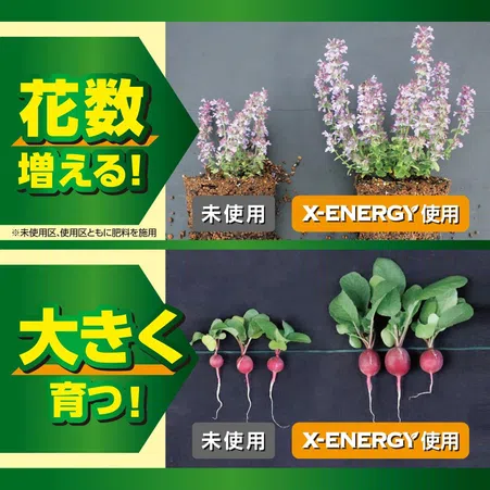 X-ENERGYダイレクト アンプルタイプ｜KINCHO園芸