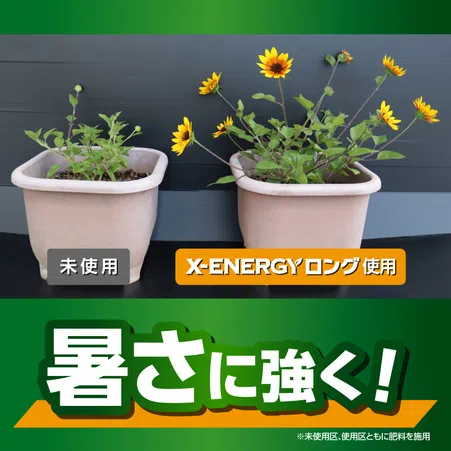 X-ENERGYロング 粒タイプ｜KINCHO園芸