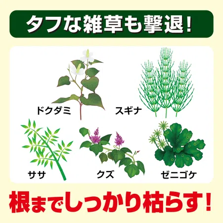 草退治ストロングシリーズ 濃縮タイプ 草退治メガロングFL｜KINCHO園芸
