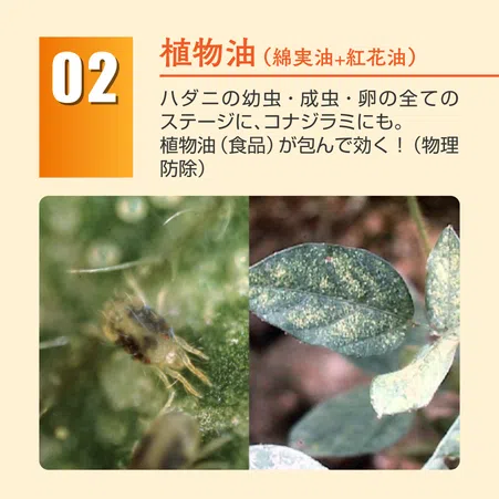 ベニカナチュラルスプレー つけかえ用｜KINCHO園芸