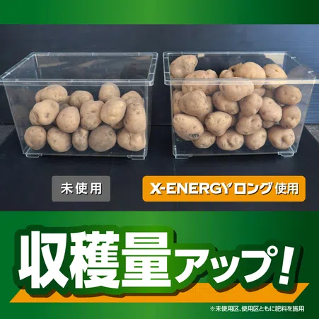 X-ENERGYロング 粒タイプ｜KINCHO園芸