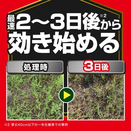 草退治ストロングシリーズ 濃縮タイプ 草退治メガロングFL｜KINCHO園芸