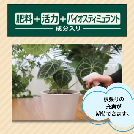 MY PLANTS すばやく元気を届けるミスト｜KINCHO園芸