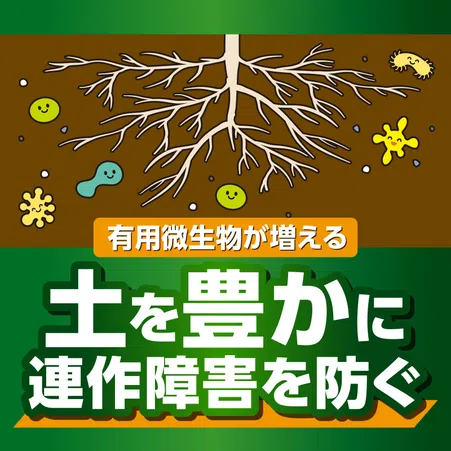 X-ENERGYロング 粒タイプ｜KINCHO園芸