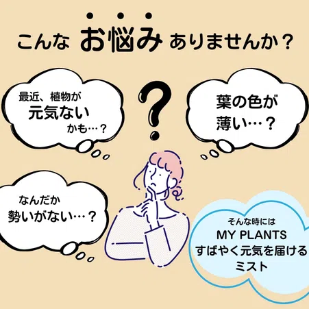 MY PLANTS すばやく元気を届けるミスト｜KINCHO園芸