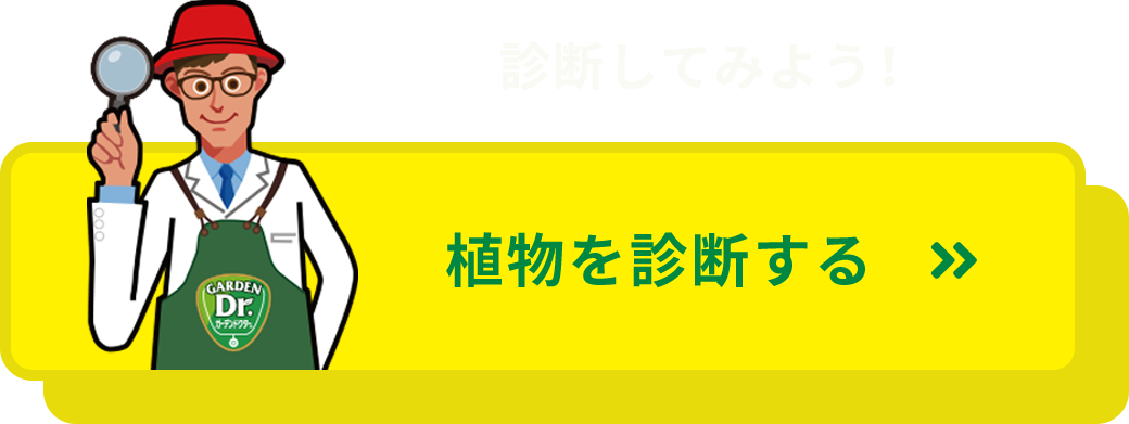 植物を診断する