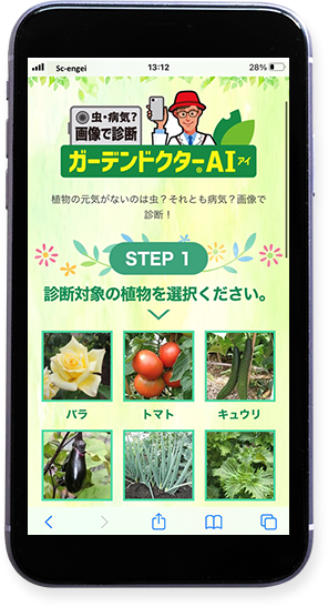 診断植物を選択