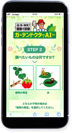 植物の異変 or 虫 を選択