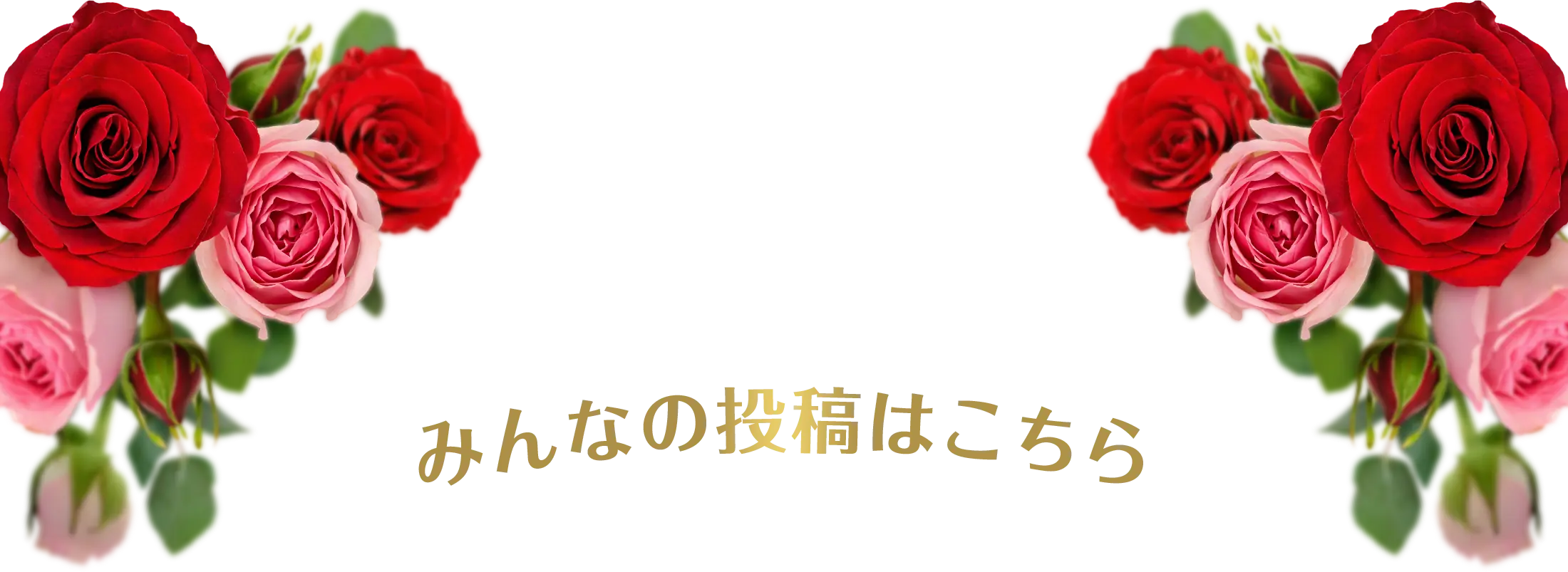 みんなの投稿はこちら