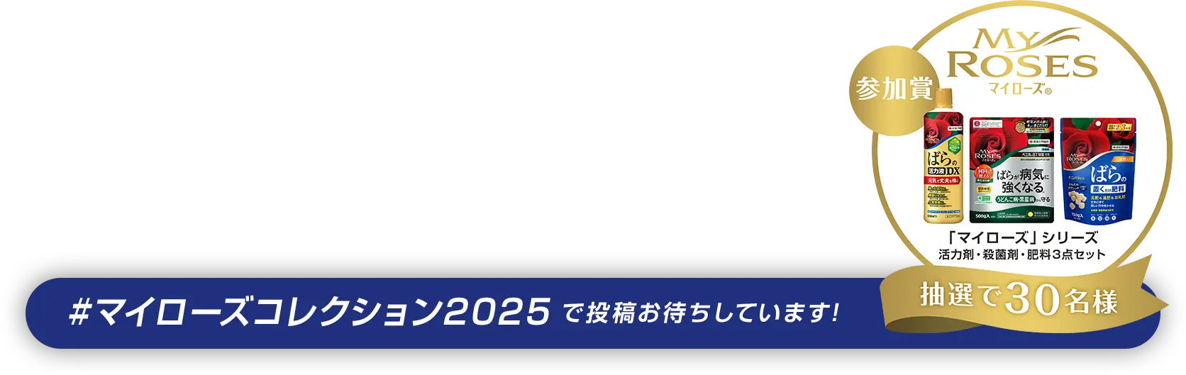 #マイローズコレクション2025で投稿すると抽選で参加賞プレゼント！