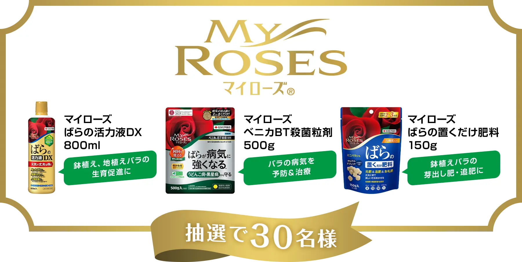 抽選で30名様にマイローズ製品をプレゼント