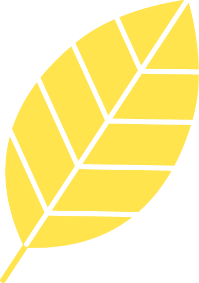 葉っぱのイラスト