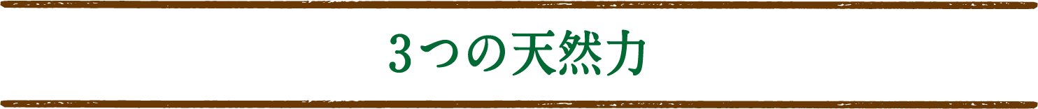 3つの天然力