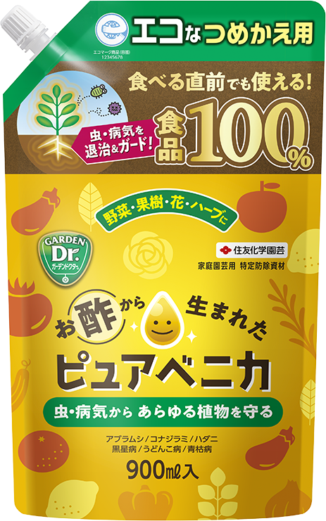 ピュアベニカの写真