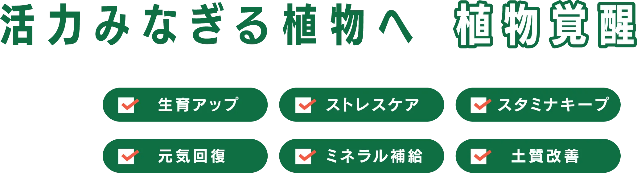 活力みなぎる植物へ 植物覚醒