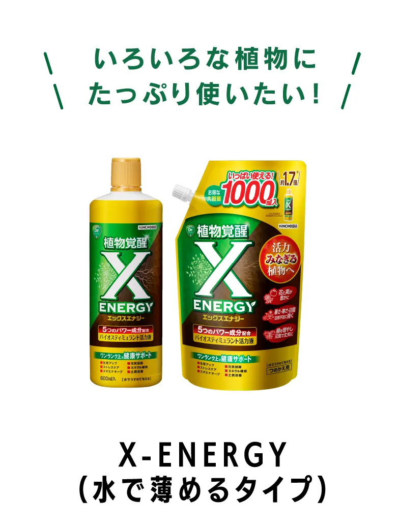X-ENERGY（水で薄めるタイプ）