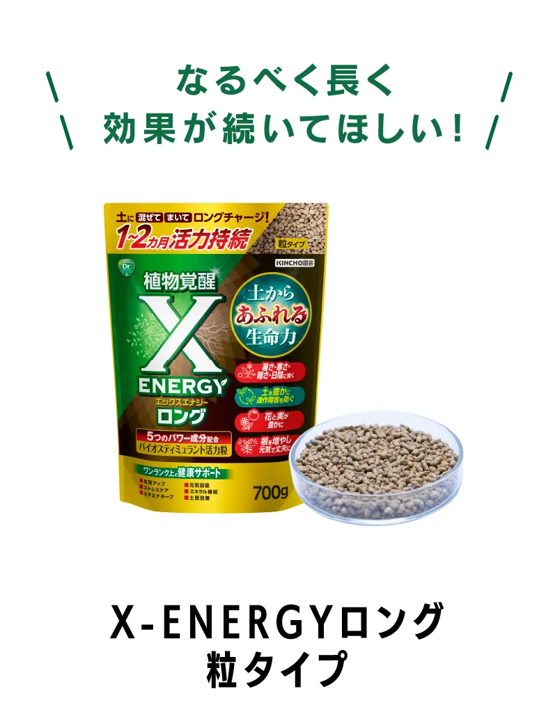 X-ENERGYロング 粒タイプ