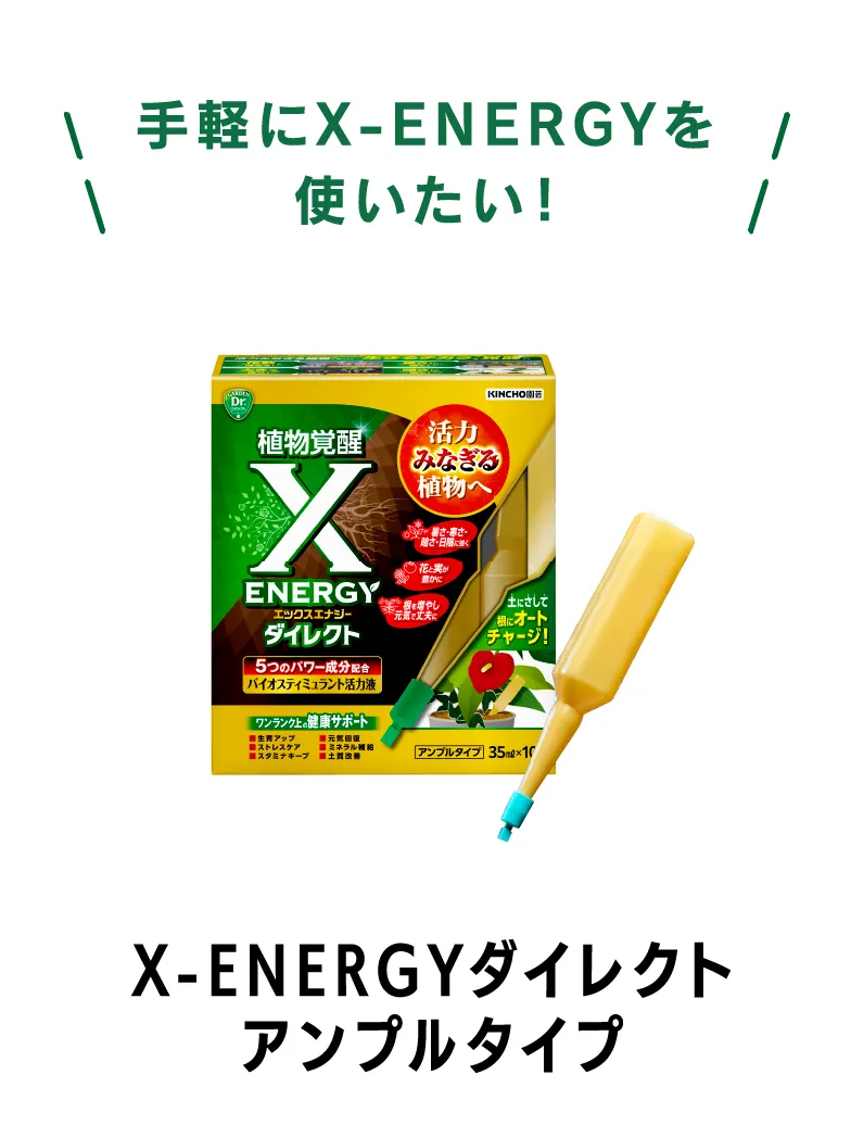 X-ENERGYダイレクト アンプルタイプ