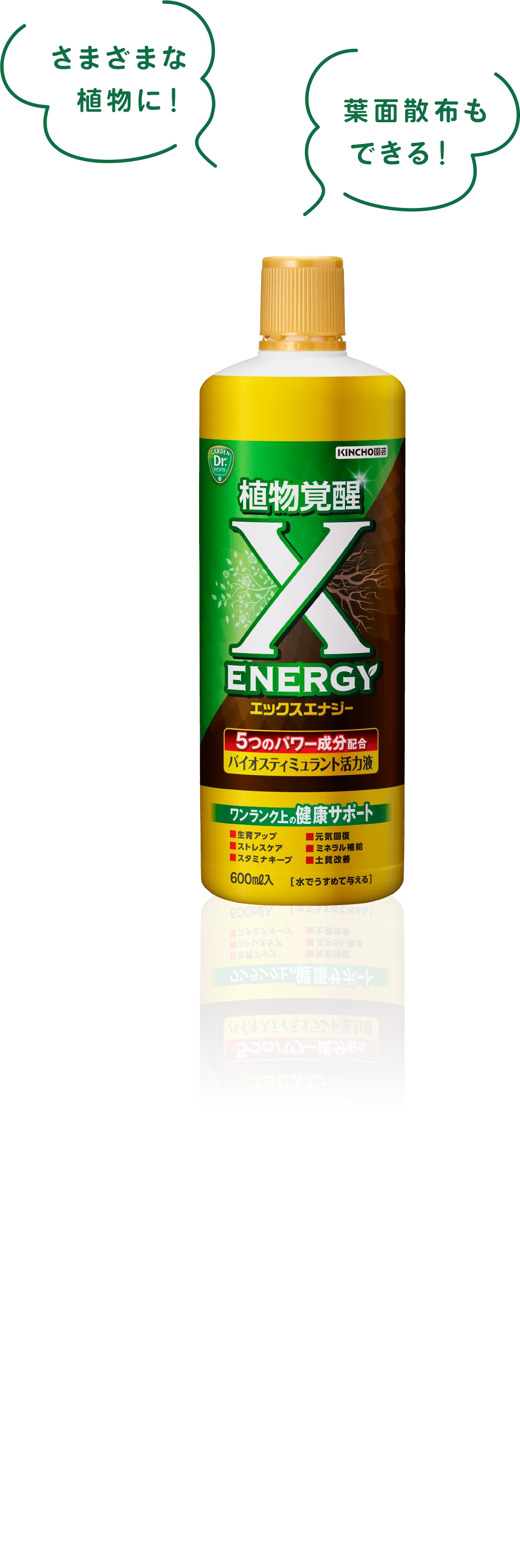 エックスエナジー