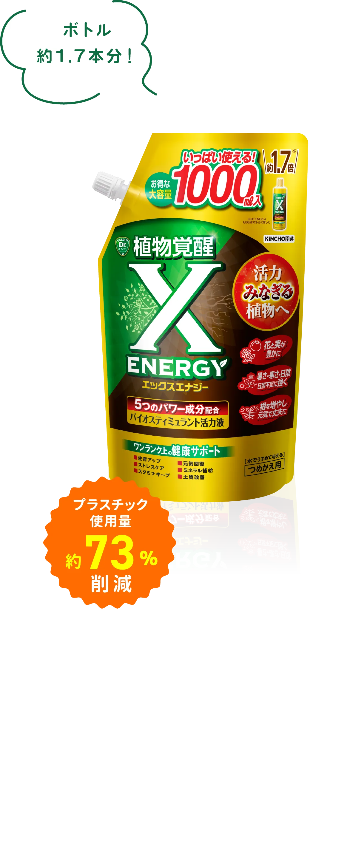 エックスエナジー つめかえ用