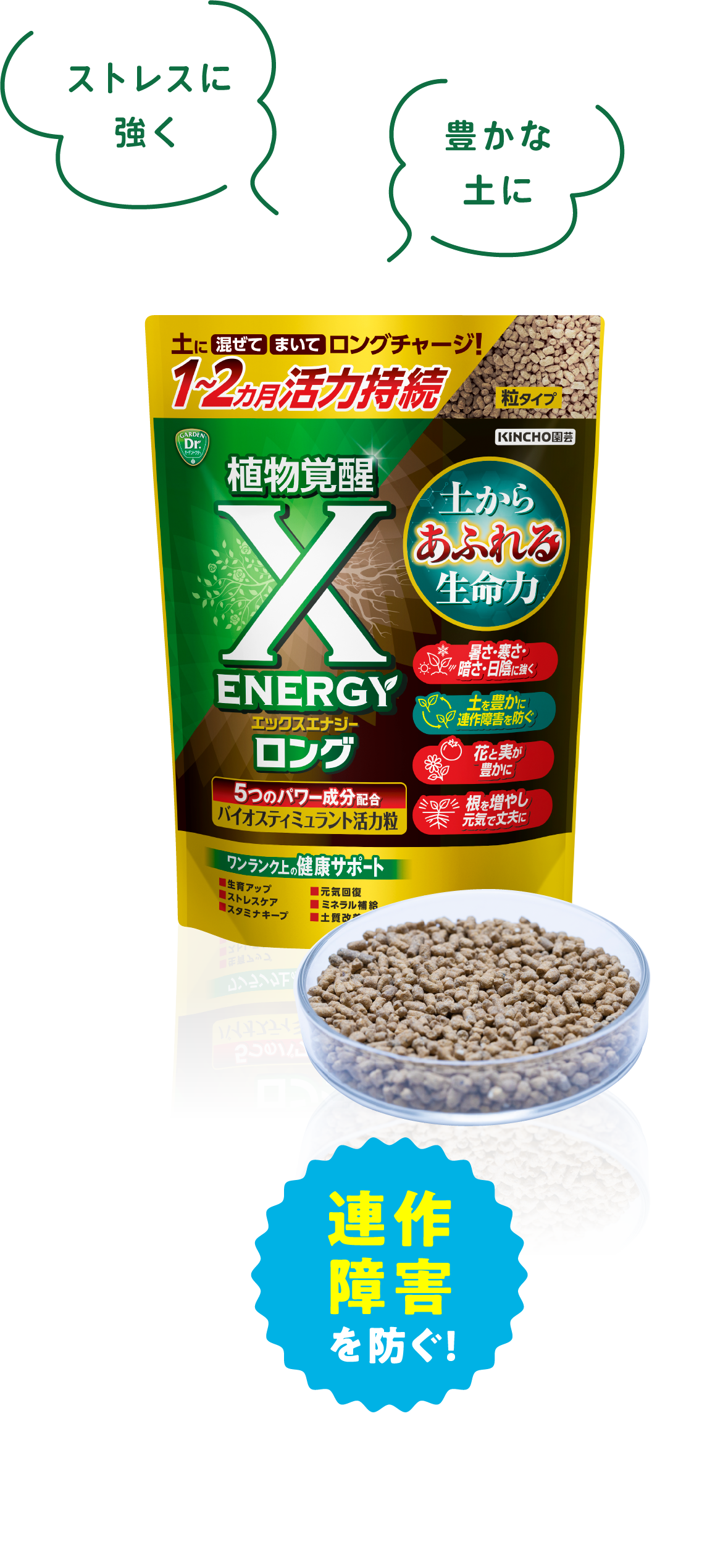 X-ENERGYロング 粒タイプ