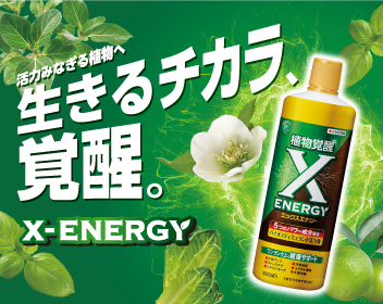 X-ENERGY