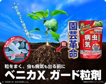 ベニカXガード粒剤