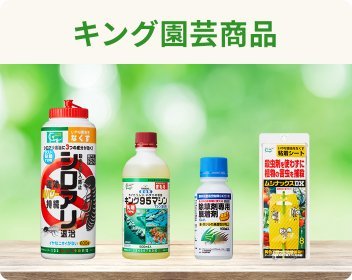 キング園芸商品