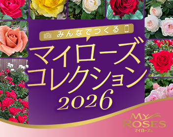 みんなでつくるマイローズコレクション2026